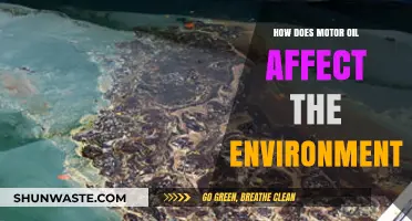 Motor Oil's Environmental Impact: Pollution, Wildlife, and Ecosystem Threats