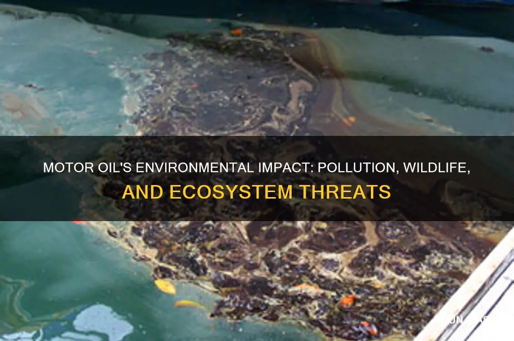 how does motor oil affect the environment