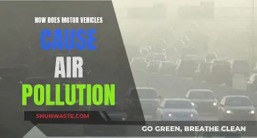 Motor Vehicles: Air Pollution's Main Culprit