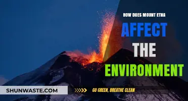 Mount Etna's Environmental Impact: Volcanic Activity and Ecosystem Effects