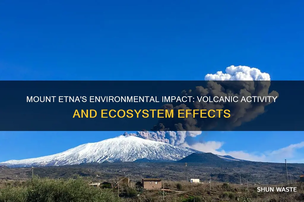 how does mount etna affect the environment