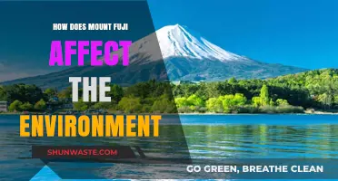 Mount Fuji's Environmental Impact: Ecology, Climate, and Conservation Challenges
