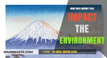 Mount Fuji's Ecological Footprint: Environmental Impacts and Conservation Efforts