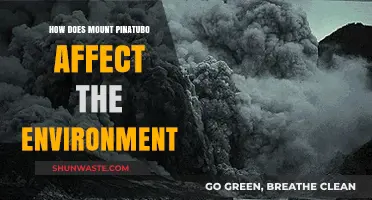 Mount Pinatubo's Eruption: Environmental Impacts and Long-Term Effects