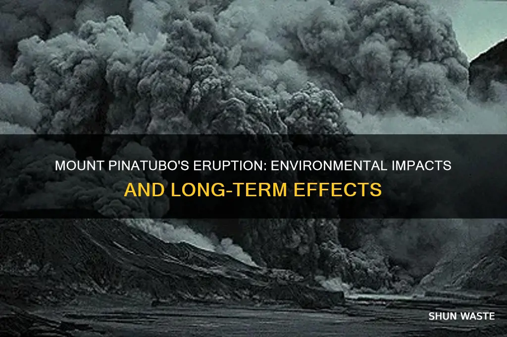 how does mount pinatubo affect the environment