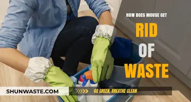 How Mice Efficiently Eliminate Waste: A Comprehensive Guide