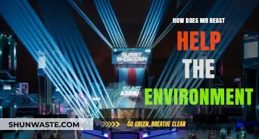 MrBeast's Green Impact: Environmental Initiatives and Sustainable Philanthropy Explained