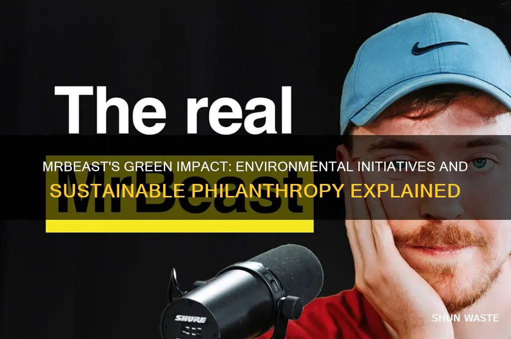 how does mr beast help the environment