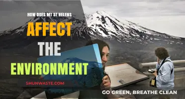 Mount St. Helens' Eruption: Environmental Impacts and Ecosystem Recovery