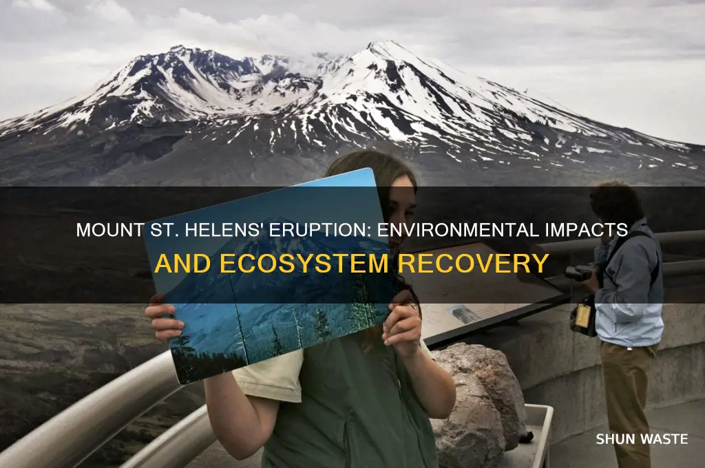 how does mt st helens affect the environment