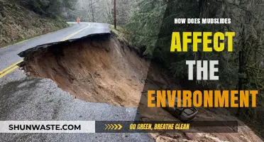 Mudslides' Devastating Impact on Ecosystems and Environmental Stability