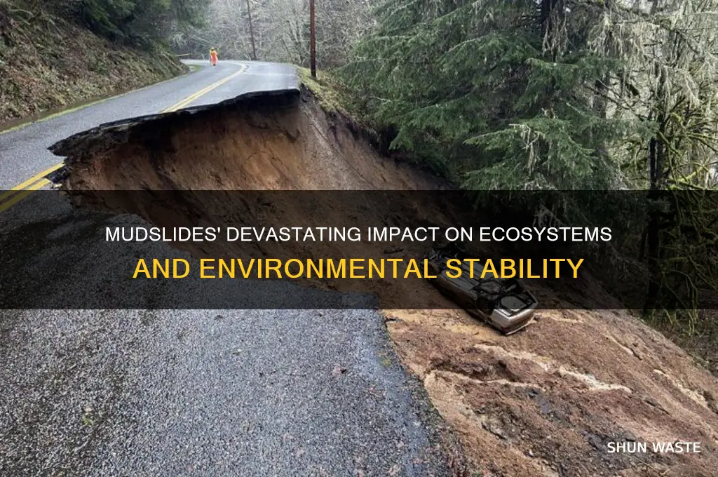 how does mudslides affect the environment