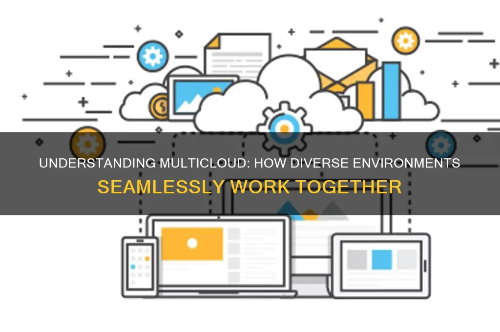 how does multicloud environment works