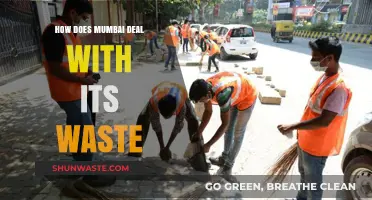 Mumbai's Waste Management: Challenges, Innovations, and Sustainable Solutions