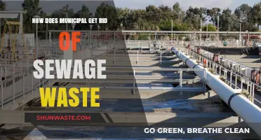 Effective Municipal Sewage Waste Disposal Methods and Treatment Processes