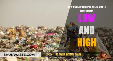 Municipal Solid Waste: Unraveling the Causes of Artificial Lows and Highs