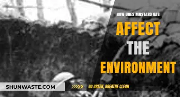 Mustard Gas Environmental Impact: Long-Term Effects on Ecosystems and Wildlife