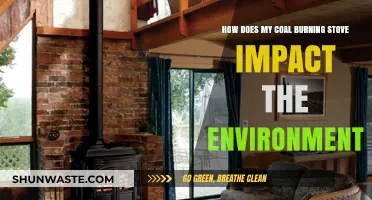 Coal Stove Emissions: Environmental Impact and Sustainable Heating Alternatives