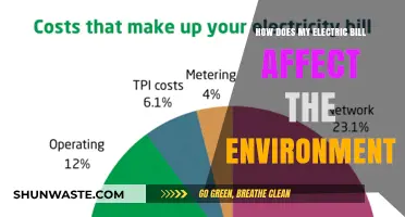 Your Electric Bill's Hidden Impact: Uncovering Environmental Costs and Solutions