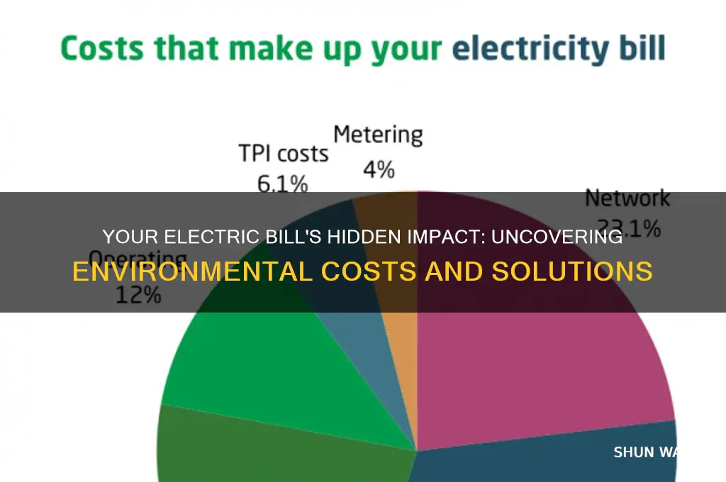 how does my electric bill affect the environment