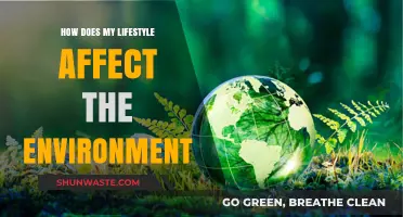 Sustainable Living: How Your Daily Choices Impact the Planet