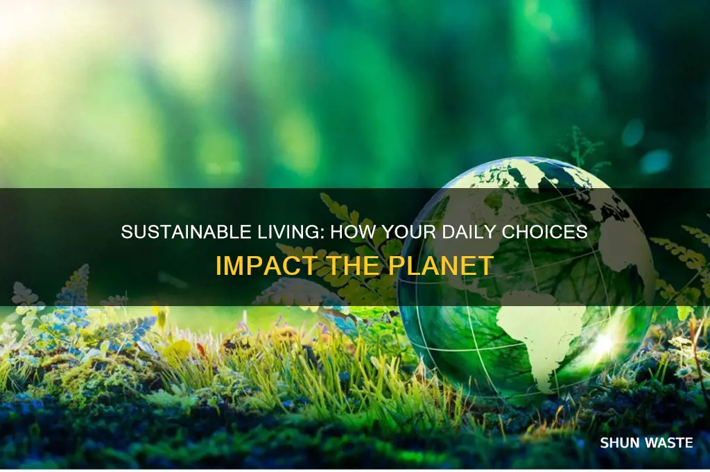 how does my lifestyle affect the environment