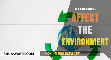 Naphtha's Environmental Impact: Pollution, Wildlife, and Ecosystem Concerns Explained