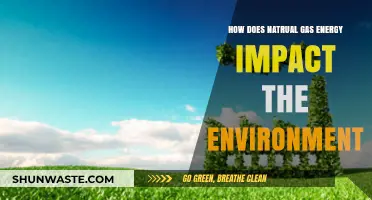 Natural Gas Energy: Environmental Impacts and Sustainability Concerns Explored