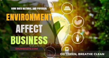 Nature's Impact: How Physical Environments Shape Business Success and Strategy