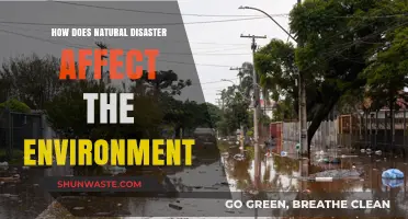 Natural Disasters' Environmental Impact: Destruction, Recovery, and Long-Term Consequences