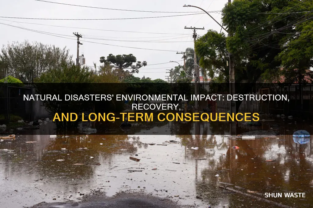 how does natural disaster affect the environment