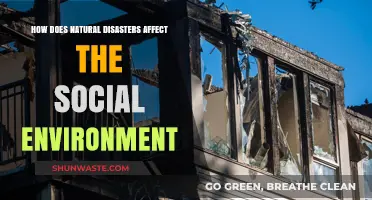 Natural Disasters' Impact: Shaping Social Structures and Community Resilience