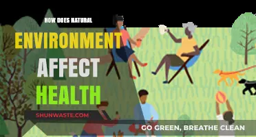 Nature's Impact: How Environments Shape Our Physical and Mental Health