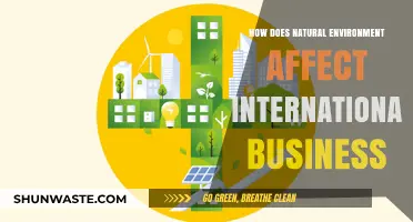 Nature's Impact: Shaping Global Commerce and International Business Strategies