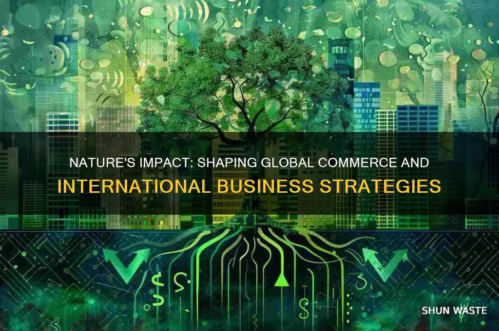 how does natural environment affect international business