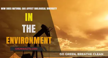 Natural Gas Impact: Biodiversity Loss and Environmental Consequences Explored