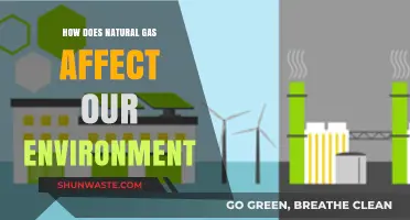 Natural Gas Impact: Environmental Effects and Sustainability Concerns Explored