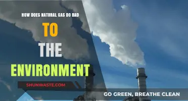 Natural Gas's Environmental Impact: Pollution, Climate Change, and Ecosystem Harm