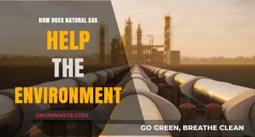 Natural Gas: A Cleaner Energy Source for Environmental Sustainability
