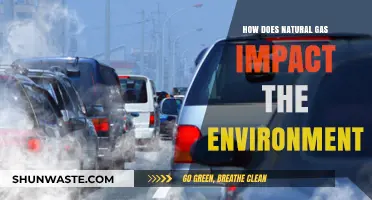 Natural Gas and Its Environmental Impact: Benefits, Risks, and Sustainability