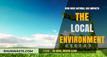 Natural Gas's Environmental Impact: Local Effects and Ecological Consequences