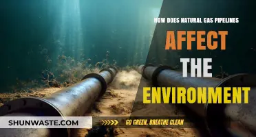 Environmental Impact of Natural Gas Pipelines: Risks, Effects, and Solutions