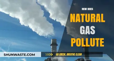 Natural Gas: A Polluting Power Source