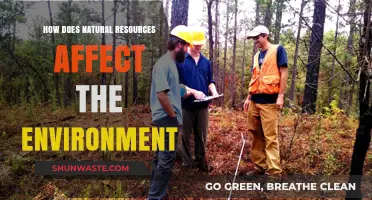 Natural Resources' Impact: Environmental Consequences and Sustainable Solutions