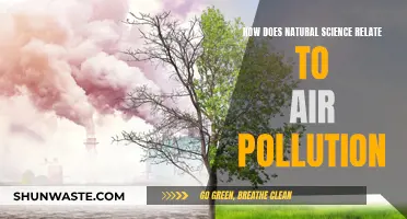 Natural Science: Understanding Air Pollution's Impact