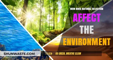 Natural Selection's Impact: Shaping Ecosystems and Environmental Dynamics