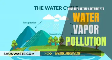 Nature's Role in Water Vapor Pollution: A Complex Environmental Story