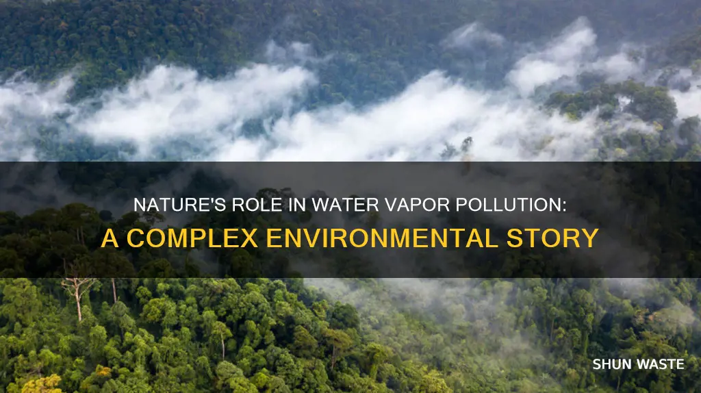 how does nature contribute to water vapor pollution