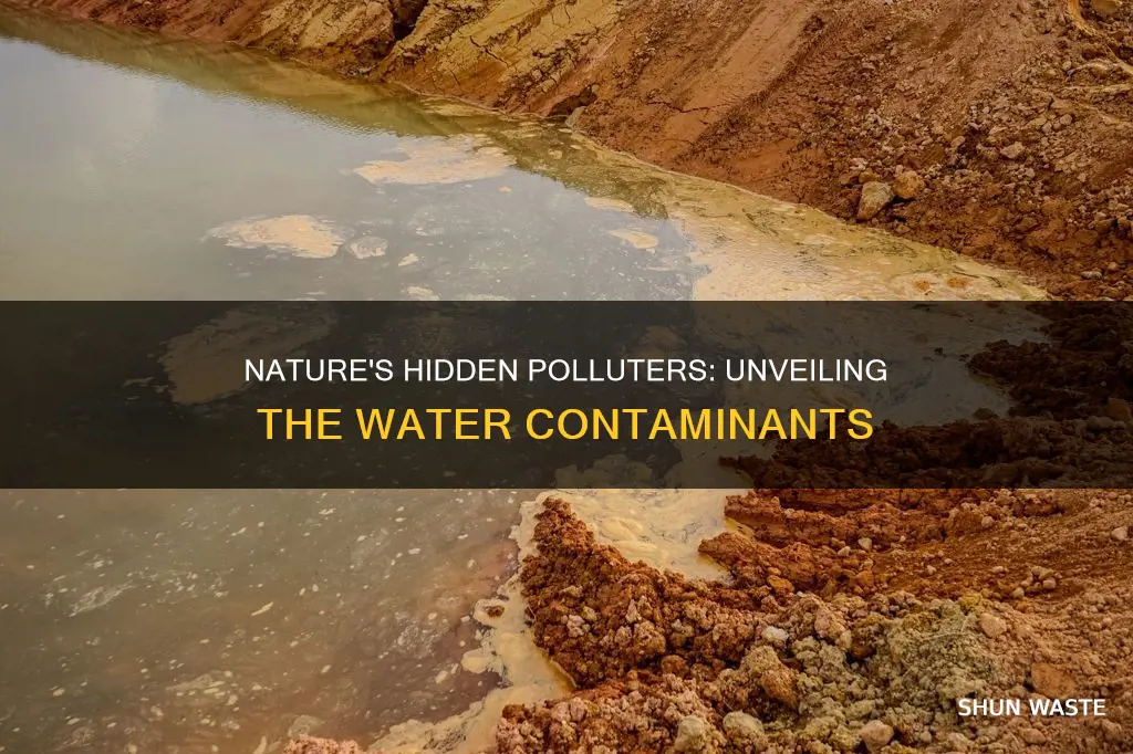 how does nature pollute water