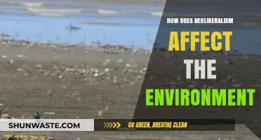 Neoliberal Policies: Environmental Consequences and Sustainability Challenges Explored